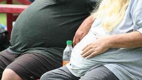 Descubren hormona que combate la obesidad