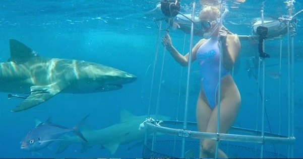 Actriz porno mordida por un tiburón