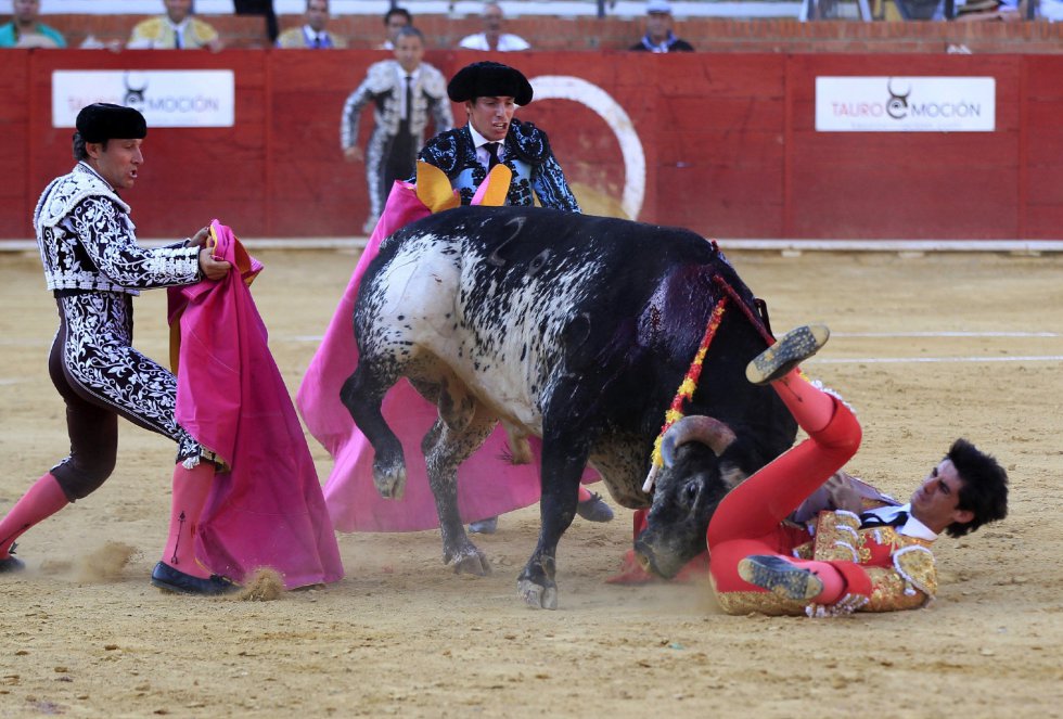 Muere torero en España