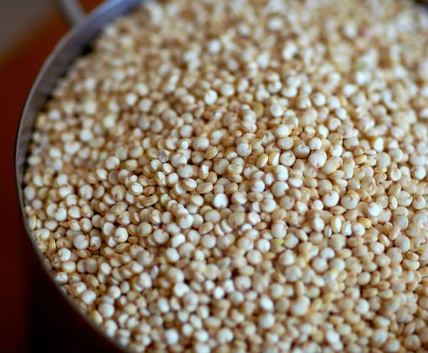 Quinoa: el superalimento