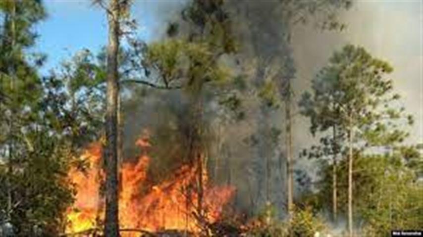 Bajo Control incendio forestal en el occidente cubano