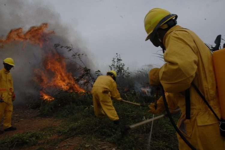 Incendio consume área forestal en occidente de Cuba