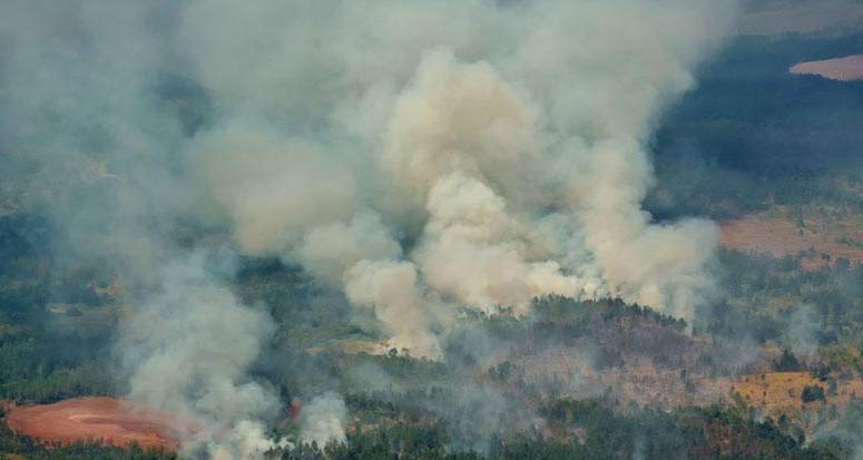 Incendio en Cuba provoca daños de consideración en zonas boscosas