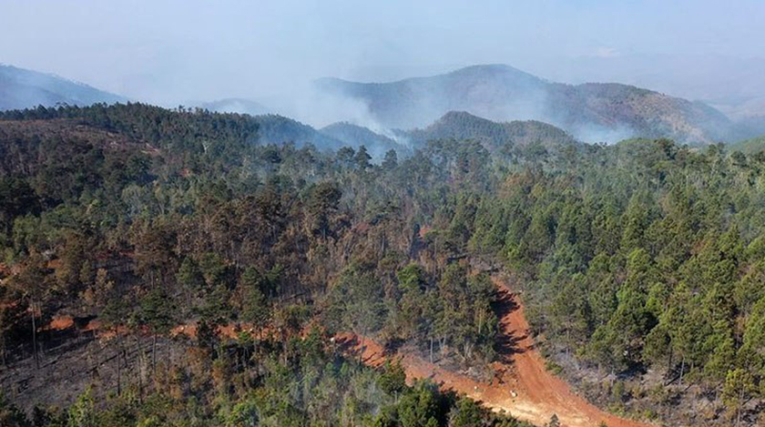 Controlado gran incendio en áreas boscosas de Mayarí