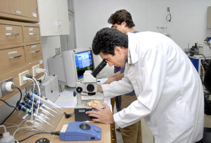 Exponen Cuba avances en tratamientos del ictus y enfermedades dermatológicas